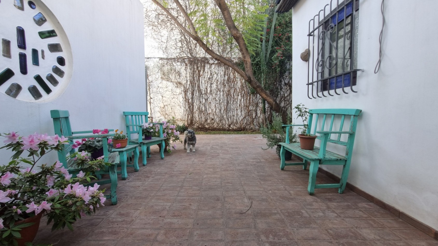 UN OASIS EN LA CIUDAD! 