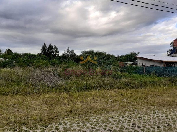 Oportunidad! Lotes en venta Camino a Rio Ceballos sobre E53