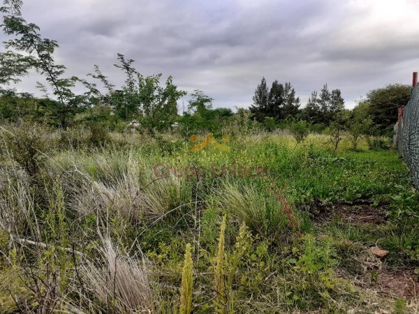 Oportunidad! Lotes en venta Camino a Rio Ceballos sobre E53